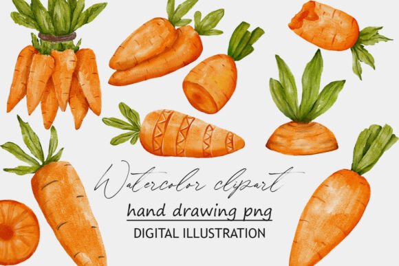 Elevate Designs with Carrots Watercolor Clipart PNG